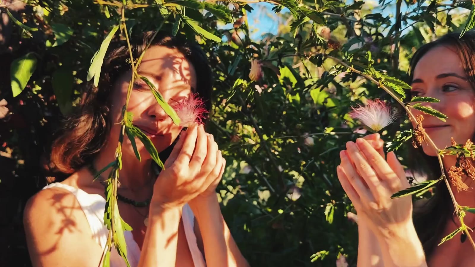 Two people inside a flowering canopy at golden hour.
